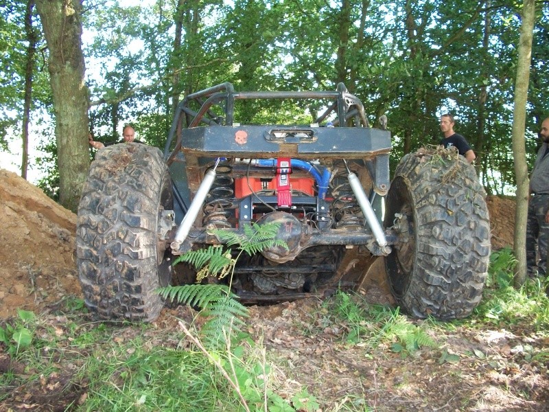1_910.jpg