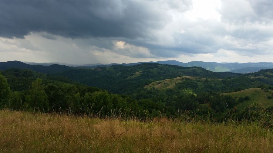 20150714_115956.jpg