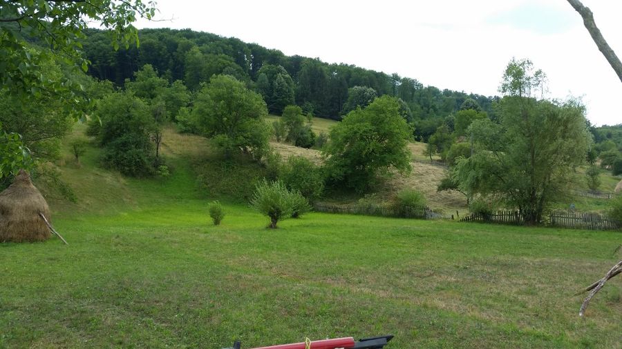 20150714_145817.jpg