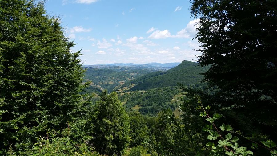 20150716_120754.jpg