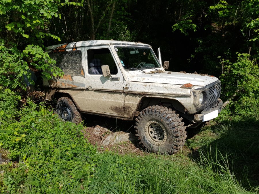 20180506_101238.jpg