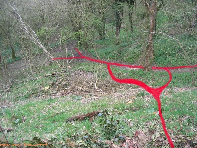 2k4543208728.jpg