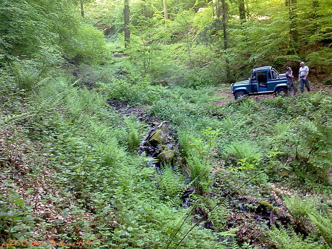 2k9e851d438c.jpg