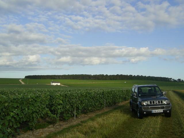 7romax51-3-20090803-194833.jpg