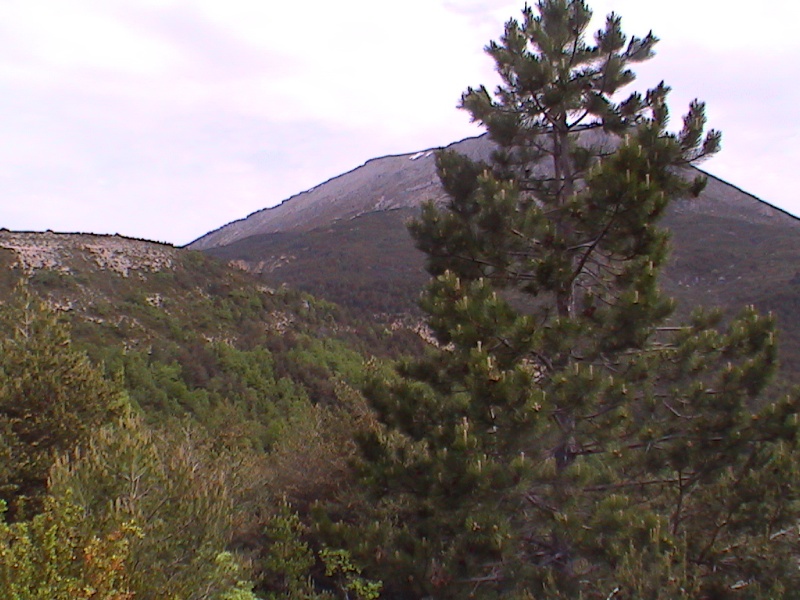 dcam0012.jpg