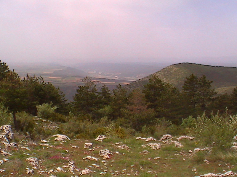 dcam0018.jpg