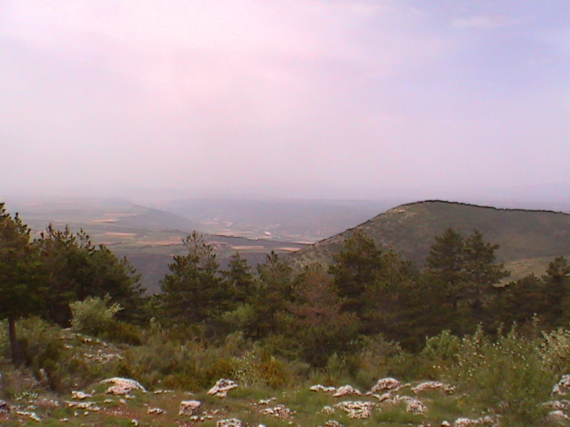 dcam0021.jpg