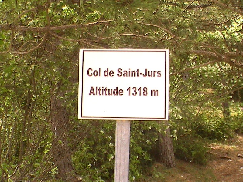 dcam0022.jpg