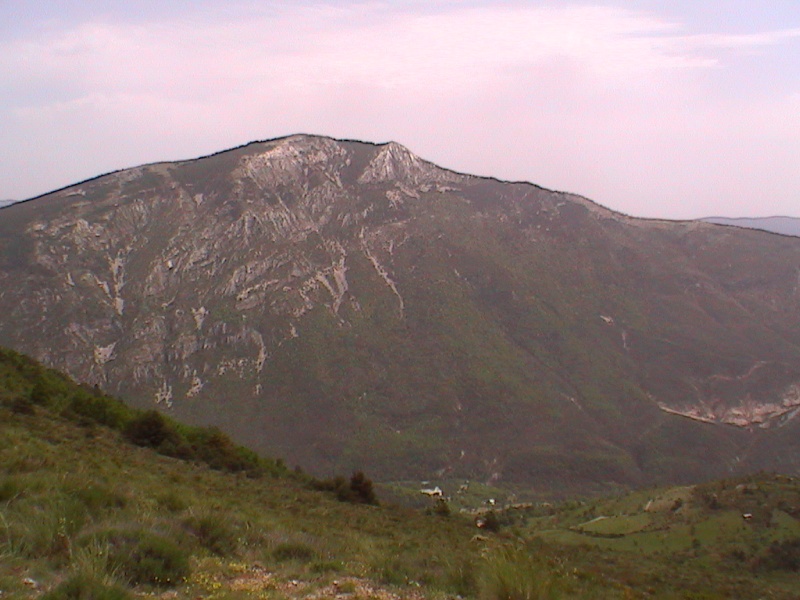 dcam0023.jpg