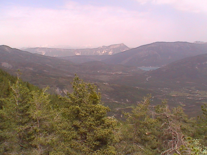 dcam0029.jpg