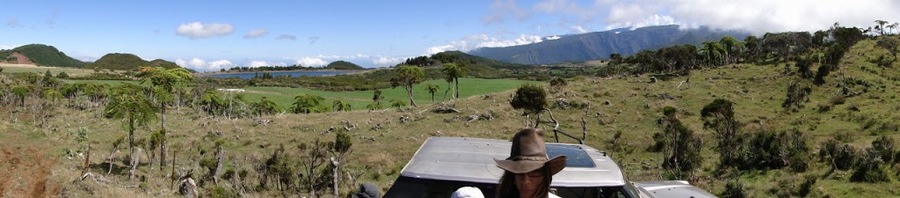 DSC05882.jpg