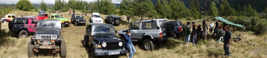 DSC06808.jpg