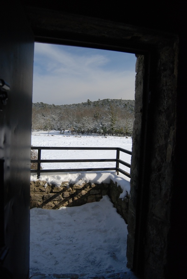 dsc_0205.jpg