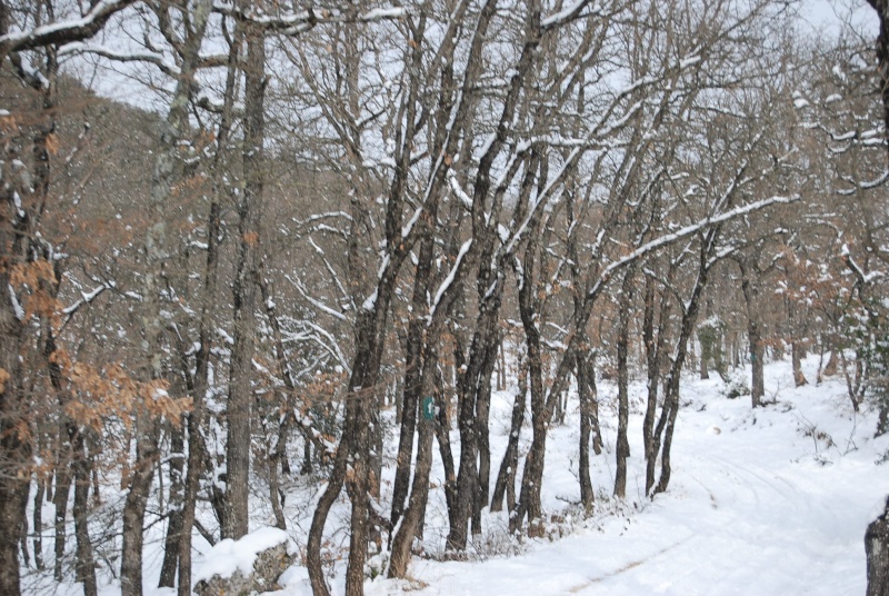 dsc_0234.jpg