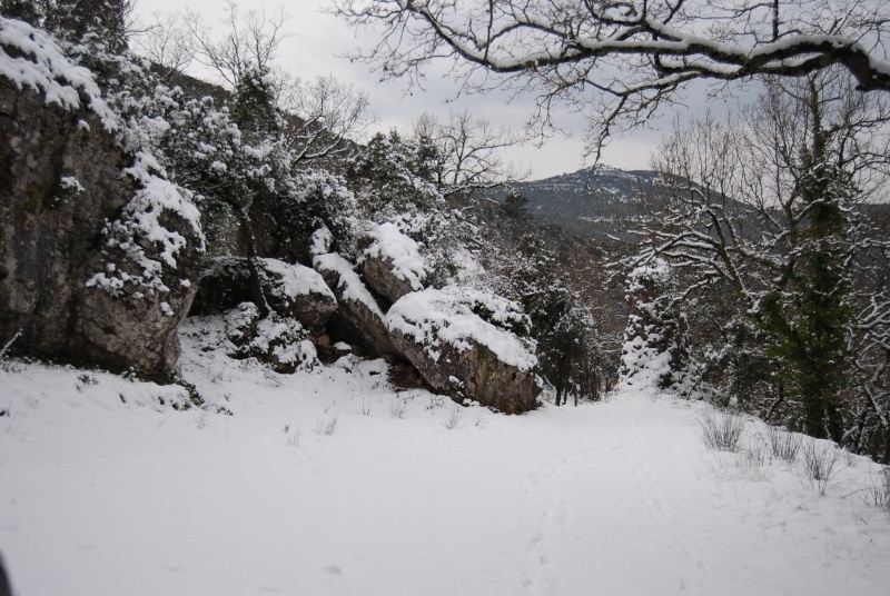 dsc_0236.jpg