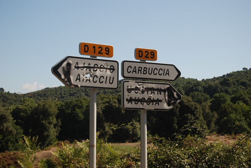 dsc_0308.jpg