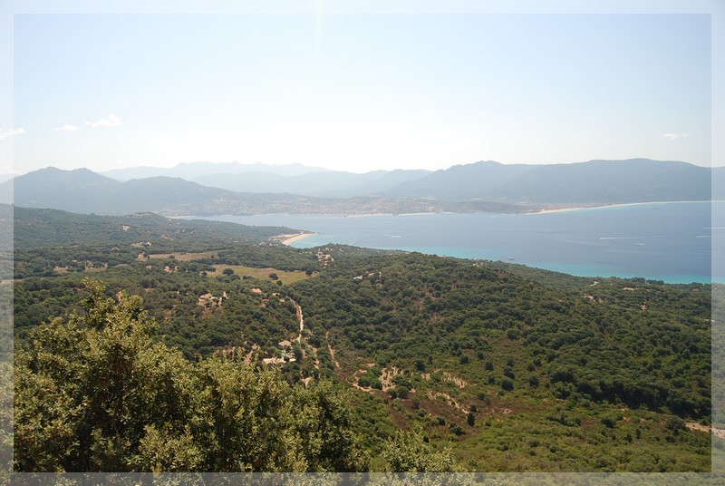 dsc_0493.jpg