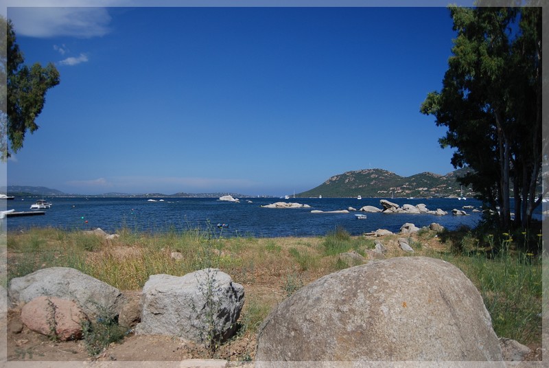 dsc_0550.jpg