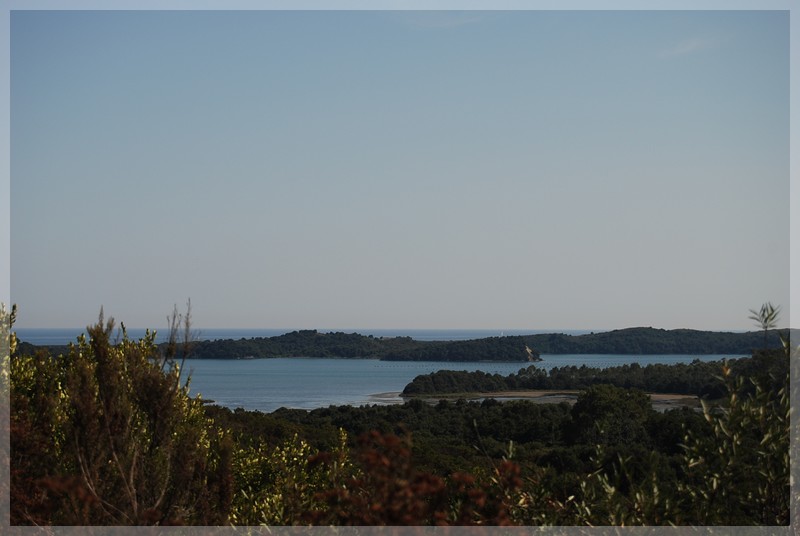 dsc_0767.jpg