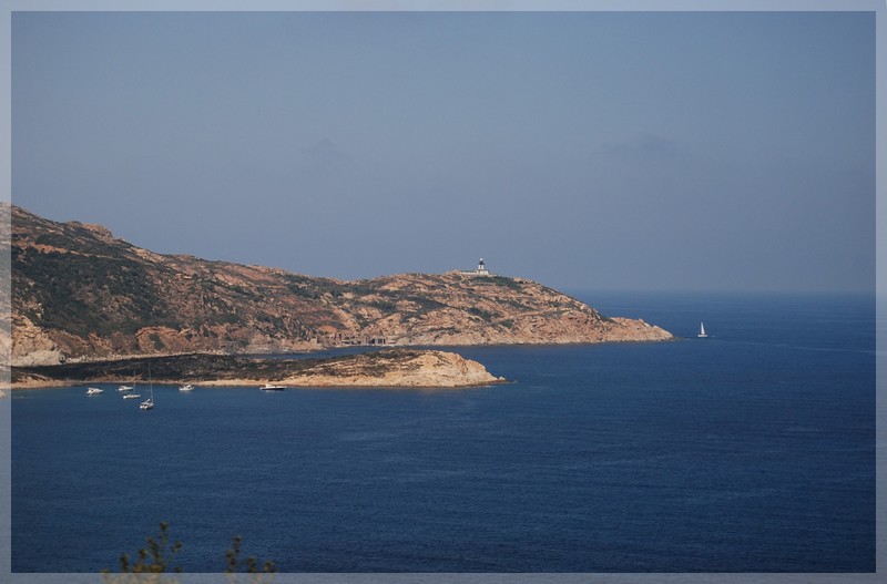dsc_0791.jpg
