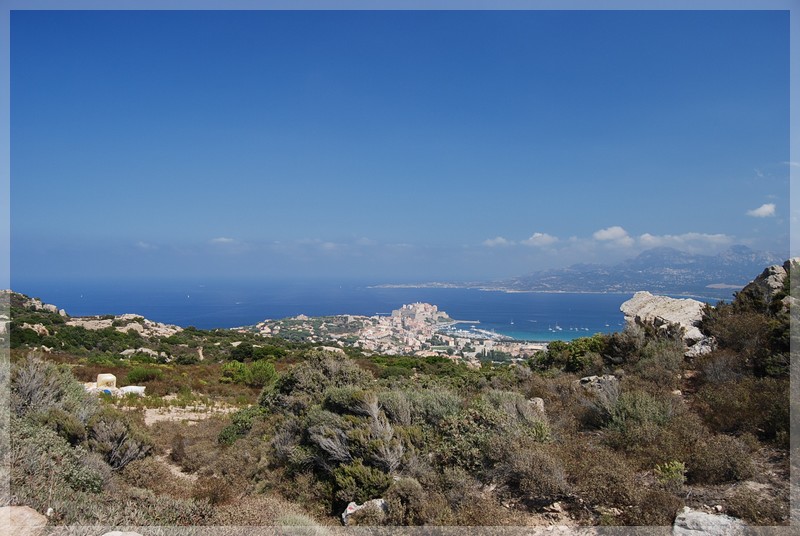 dsc_0862.jpg