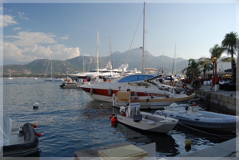 dsc_0872.jpg