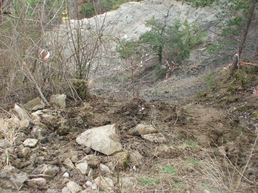 DSCF2998.JPG