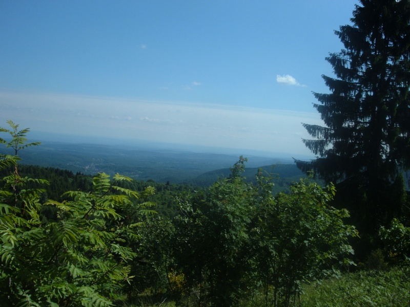 dscf6726.jpg