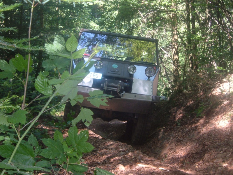 dscf6739.jpg