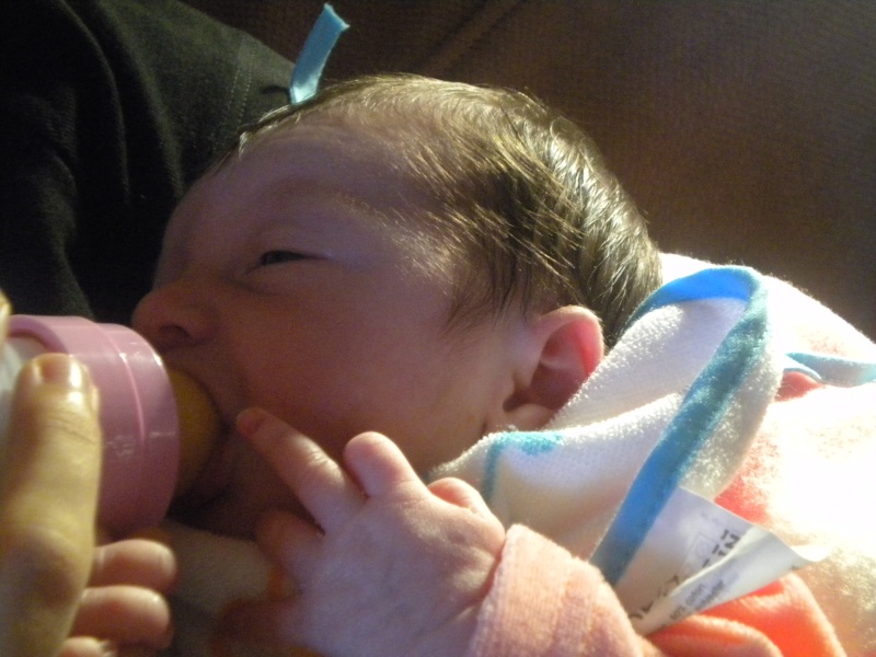 dscn3910.jpg