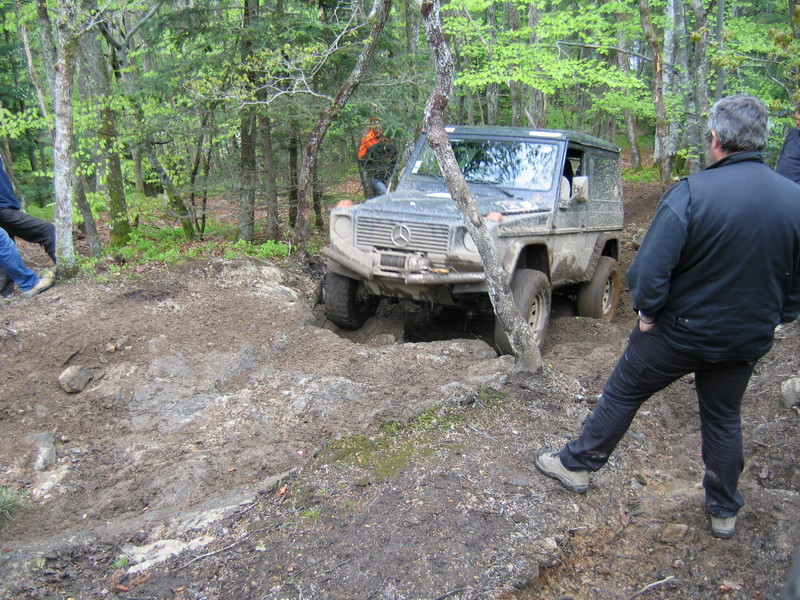 IMG_6285.jpg