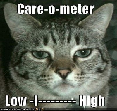lolcat5b15d.jpg