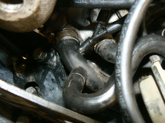 p1210915.jpg