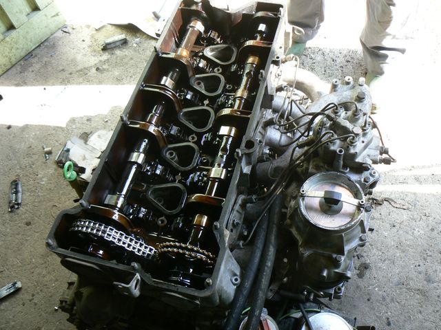 p1210917.jpg