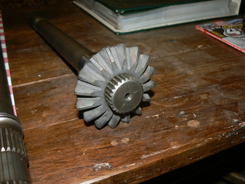 p1360334.jpg