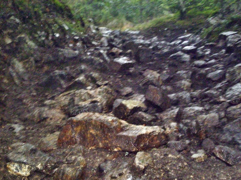 p8250012.jpg