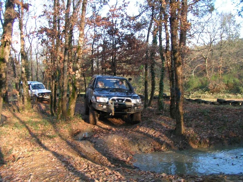 pict5815.jpg