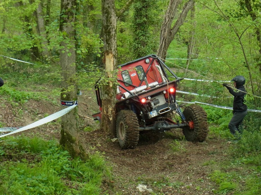 RIMG0041 (2).JPG