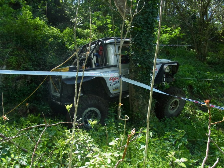 RIMG0126.JPG