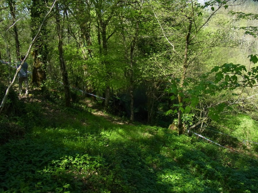 RIMG0178.JPG
