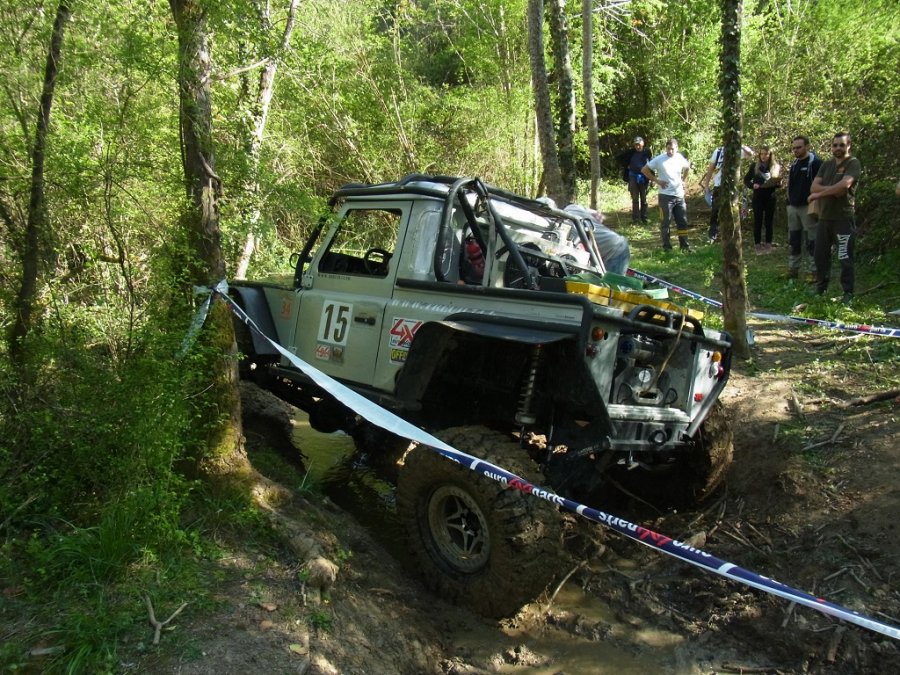 RIMG0347.JPG