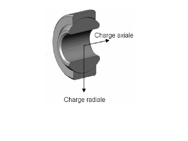 rotule10.jpg