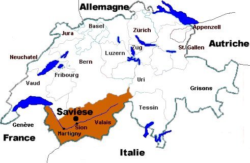 saviese-suisse.jpg