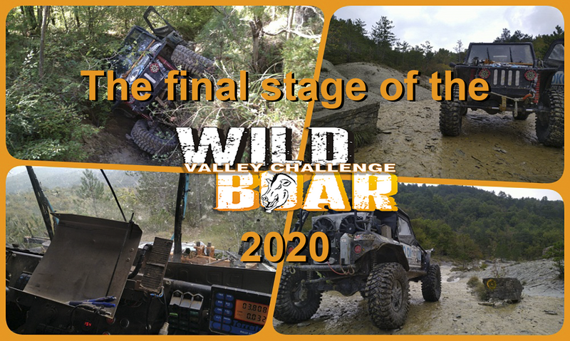 wbvc-2020-final-stage.png