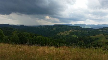 20150714_115956.jpg