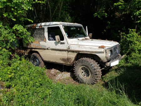 20180506_101238.jpg