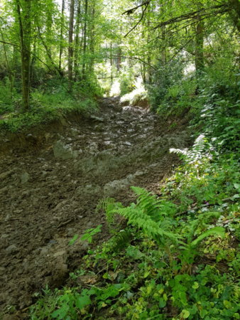 20180506_115022.jpg