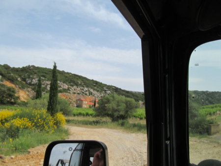 IMG_5511.JPG