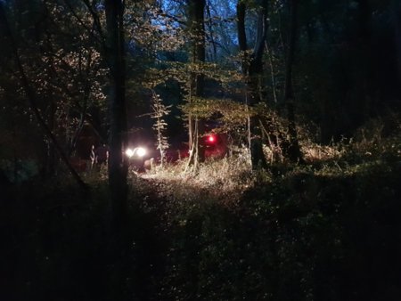 20181109_180914.jpg