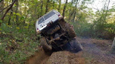20181111_095438.jpg